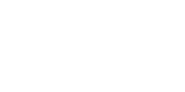 Ben Nicky - Logo