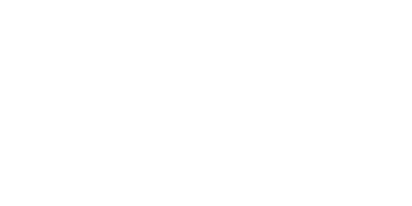 Chris Stussy - Logo