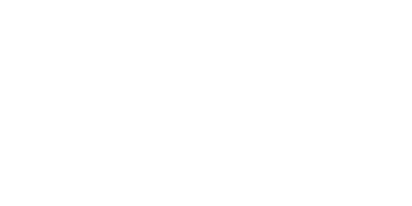 Dimitri Vegas & Like Mike - Logo
