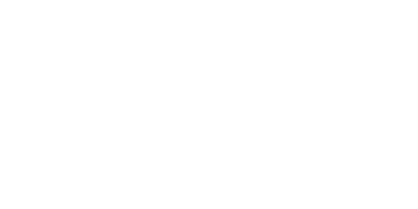 Sarah Story - Logo