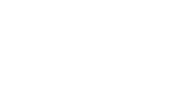 Sub Focus - Logo