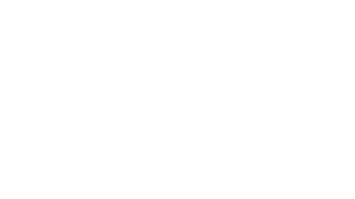 Capital Dance