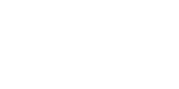 logo for: Mauro Picotto